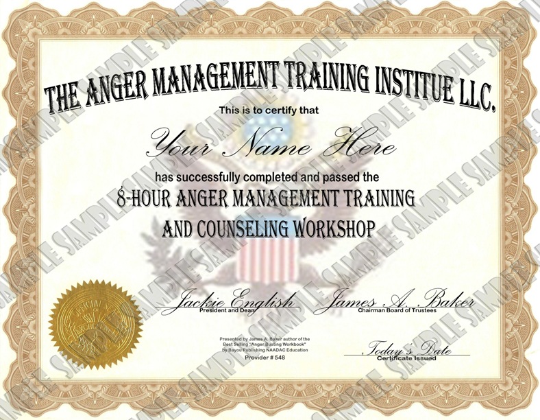 8 Hour Anger Management Certificate